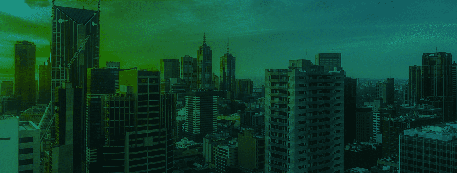 data-insight-banner